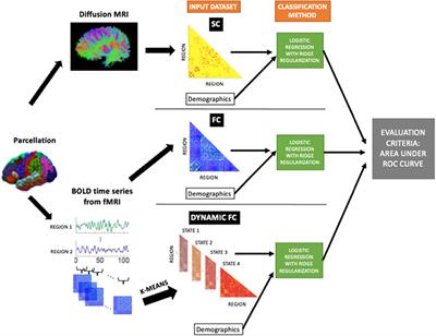 Dynamic Functional Connectivity Better Predicts Disability Than Structural and Static Functional Connectivity in People With Multiple Sclerosis